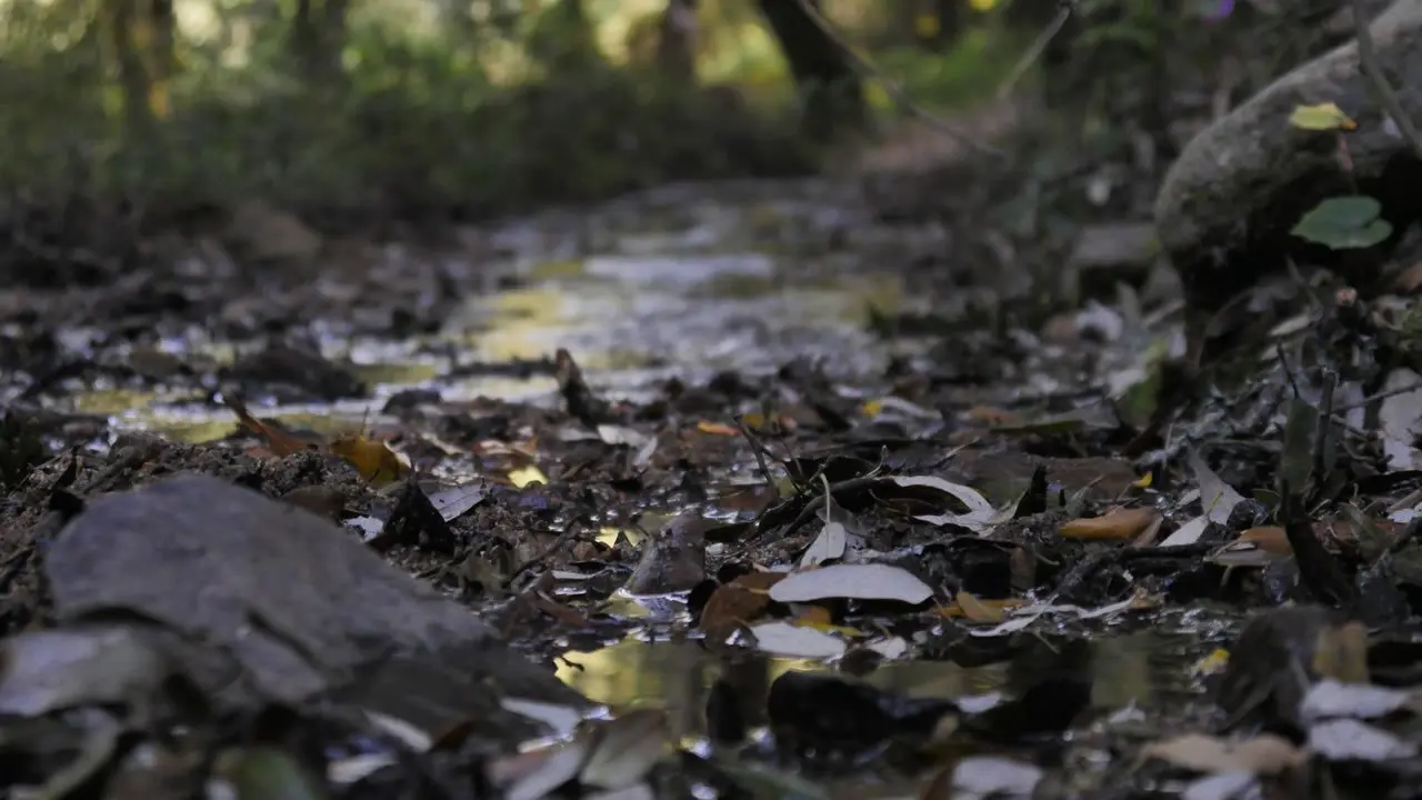 Sentiero nel Parco di Gutturu Mannu